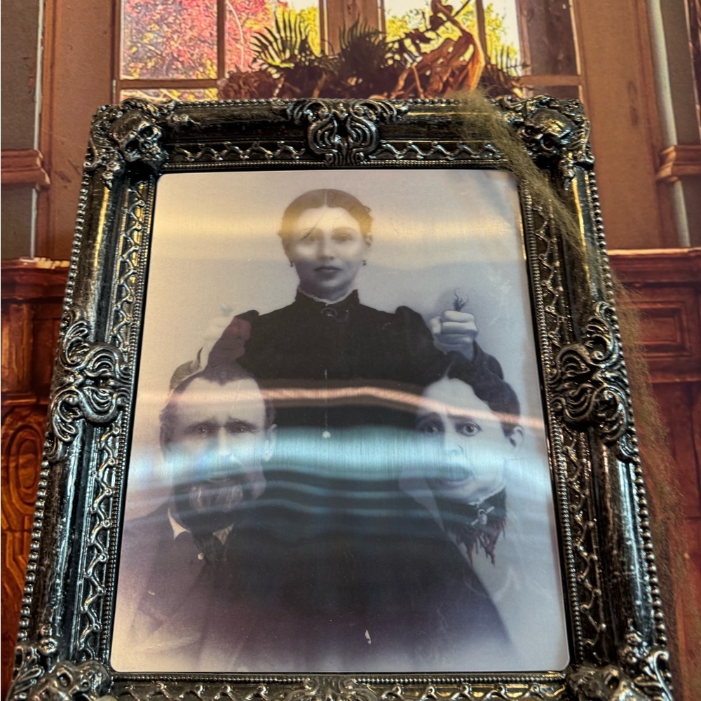 Faux Vintage Ornate Silver Photo Frame Lenticular Changing Spooky Halloween Gag - Picture 6 of 10